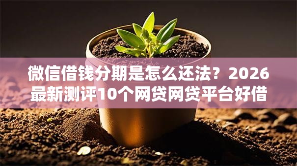 微信借钱分期是怎么还法？2026最新测评10个网贷网贷平台好借款