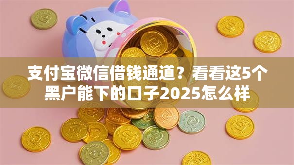 支付宝微信借钱通道？看看这5个黑户能下的口子2025怎么样