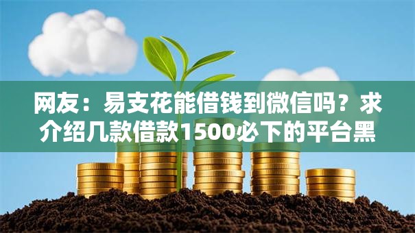 网友：易支花能借钱到微信吗？求介绍几款借款1500必下的平台黑户