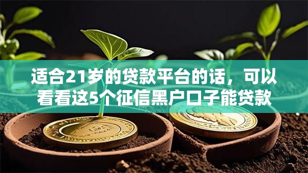 适合21岁的贷款平台的话，可以看看这5个征信黑户口子能贷款