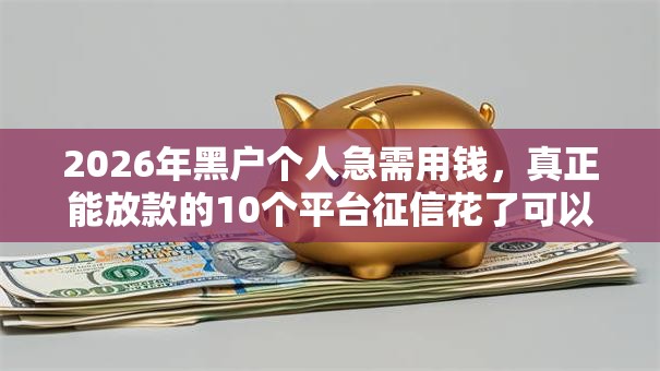 2026年黑户个人急需用钱，真正能放款的10个平台征信花了可以借三五千块钱推荐