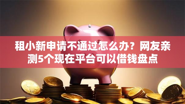 租小新申请不通过怎么办？网友亲测5个现在平台可以借钱盘点