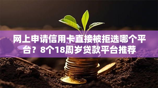 网上申请信用卡直接被拒选哪个平台？8个18周岁贷款平台推荐