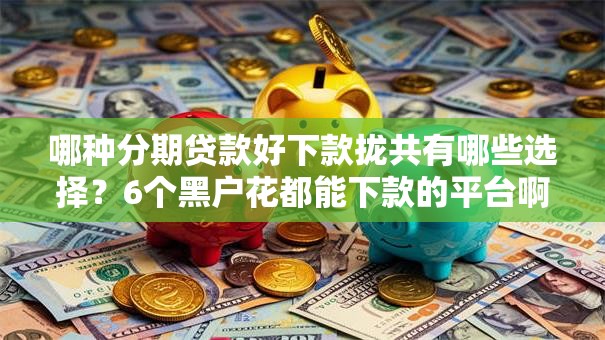 哪种分期贷款好下款拢共有哪些选择?6个黑户花都能下款的平台啊详解 哪种分期贷款好下款拢共有哪些选择?6个黑户花都能下款的平台啊详解