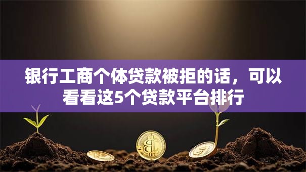 银行工商个体贷款被拒的话，可以看看这5个贷款平台排行