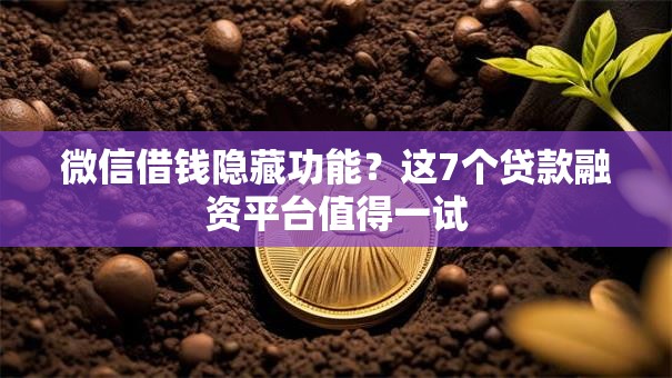 微信借钱隐藏功能？这7个贷款融资平台值得一试