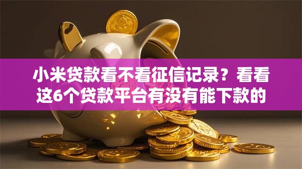 小米贷款看不看征信记录？看看这6个贷款平台有没有能下款的