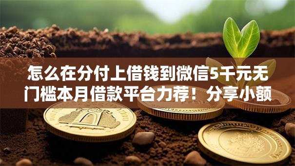 怎么在分付上借钱到微信5千元无门槛本月借款平台力荐！分享小额网贷口子5千元无门槛借款