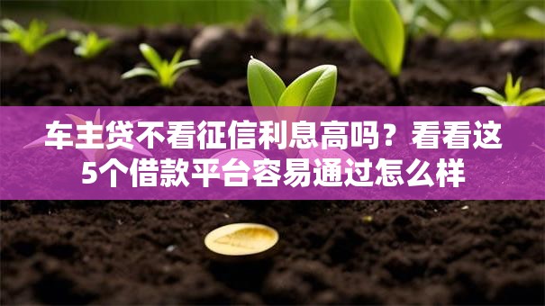 车主贷不看征信利息高吗？看看这5个借款平台容易通过怎么样