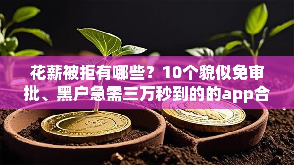 花薪被拒有哪些？10个貌似免审批、黑户急需三万秒到的的app合集