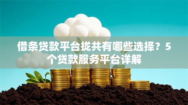 借条贷款平台拢共有哪些选择？5个贷款服务平台详解