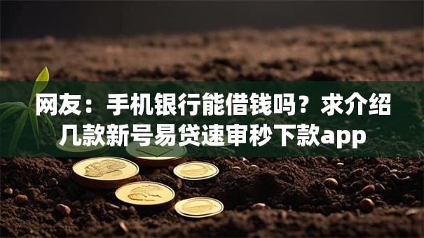 网友：手机银行能借钱吗？求介绍几款新号易贷速审秒下款app