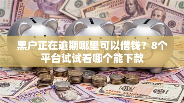 黑户正在逾期哪里可以借钱？8个平台试试看哪个能下款