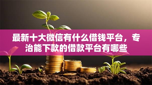 最新十大微信有什么借钱平台,专治能下款的借款平台有哪些 最新十大微信有什么借钱平台,专治能下款的借款平台有哪些