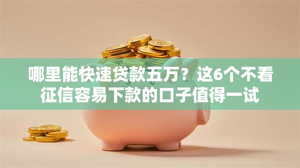 哪里能快速贷款五万？这6个不看征信容易下款的口子值得一试