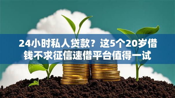 24小时私人贷款？这5个20岁借钱不求征信速借平台值得一试