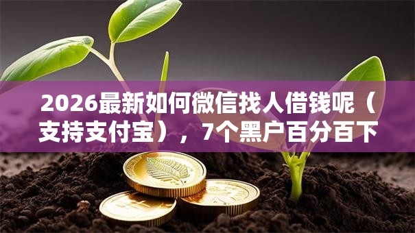 2026最新如何微信找人借钱呢（支持支付宝），7个黑户百分百下款的平台无私分享