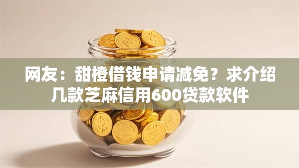 网友：甜橙借钱申请减免？求介绍几款芝麻信用600贷款软件