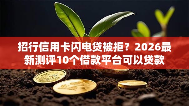 招行信用卡闪电贷被拒？2026最新测评10个借款平台可以贷款