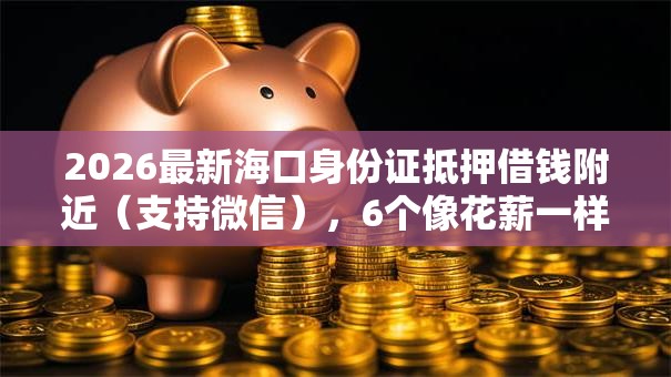 2026最新海口身份证抵押借钱附近（支持微信），6个像花薪一样能借30天的口子无私分享