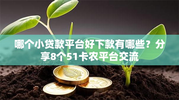 哪个小贷款平台好下款有哪些？分享8个51卡农平台交流
