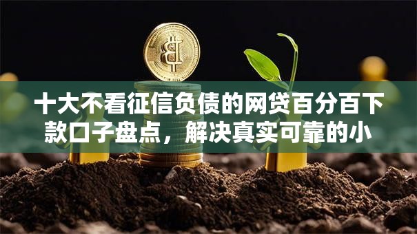 十大不看征信负债的网贷百分百下款口子盘点，解决真实可靠的小额贷款有哪些的问题