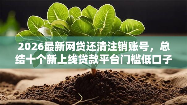 2026最新网贷还清注销账号，总结十个新上线贷款平台门槛低口子！