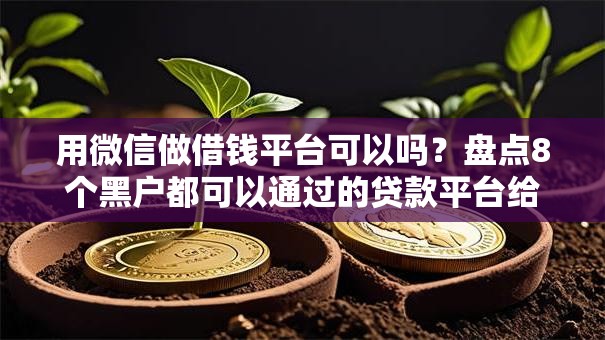 用微信做借钱平台可以吗？盘点8个黑户都可以通过的贷款平台给你参考