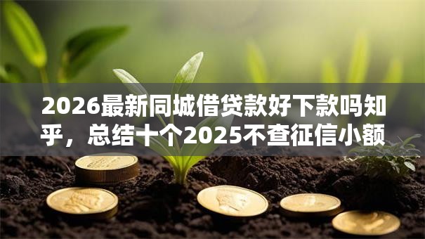 2026最新同城借贷款好下款吗知乎，总结十个2025不查征信小额贷款必下口子！