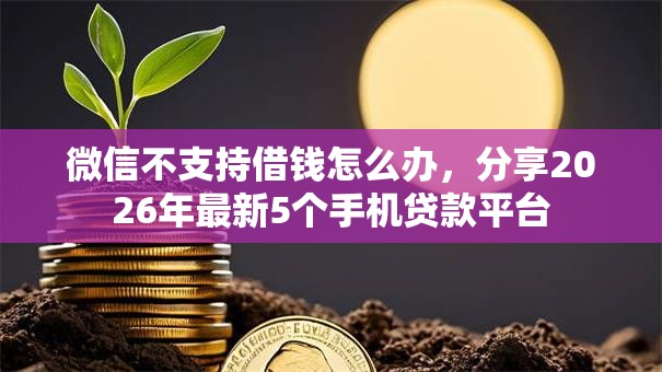 微信不支持借钱怎么办，分享2026年最新5个手机贷款平台