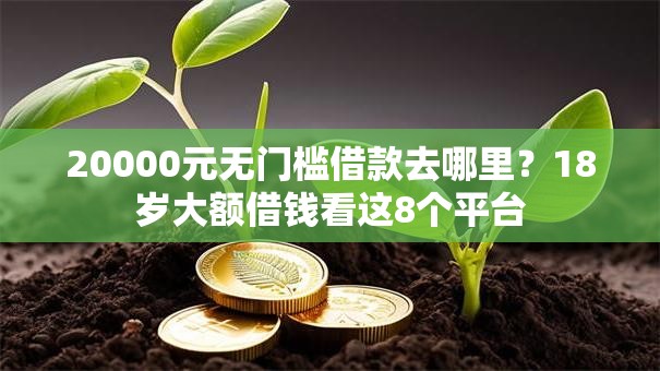 20000元无门槛借款去哪里？18岁大额借钱看这8个平台