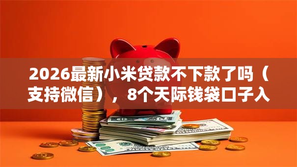 2026最新小米贷款不下款了吗（支持微信），8个天际钱袋口子入口无私分享