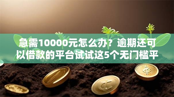急需10000元怎么办？逾期还可以借款的平台试试这5个无门槛平台