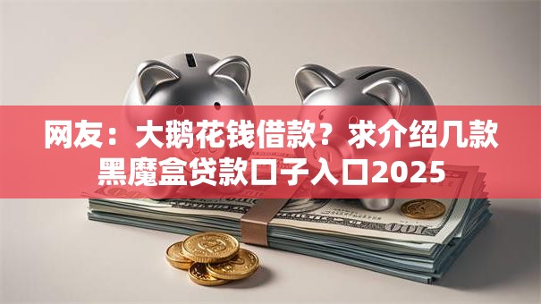 网友：大鹅花钱借款？求介绍几款黑魔盒贷款口子入口2025