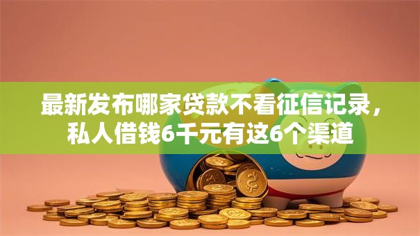 最新发布哪家贷款不看征信记录，私人借钱6千元有这6个渠道