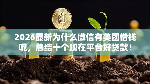 2026最新为什么微信有美团借钱呢，总结十个现在平台好贷款！
