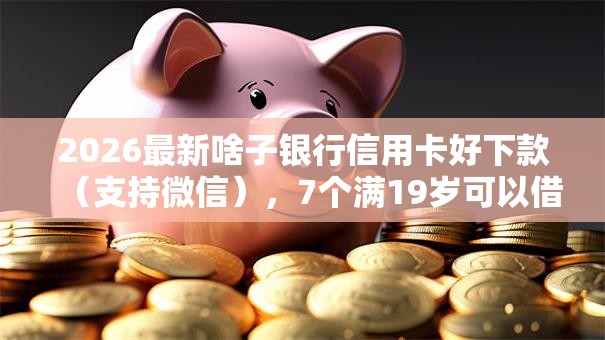 2026最新啥子银行信用卡好下款（支持微信），7个满19岁可以借款的软件无私分享