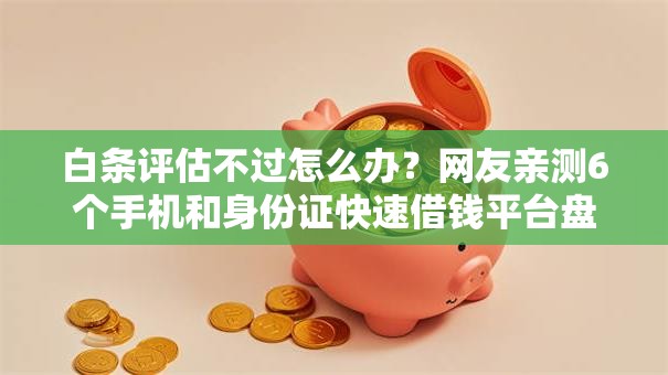 白条评估不过怎么办?网友亲测6个手机和身份证快速借钱平台盘点 白条评估不过怎么办?网友亲测6个手机和身份证快速借钱平台盘点