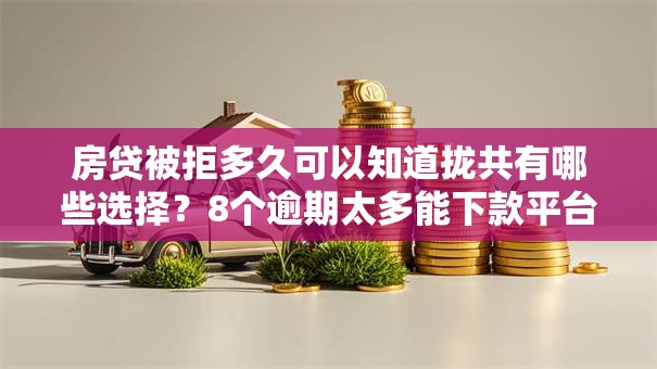 房贷被拒多久可以知道拢共有哪些选择？8个逾期太多能下款平台详解