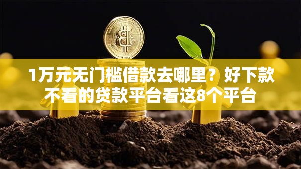 1万元无门槛借款去哪里？好下款不看的贷款平台看这8个平台
