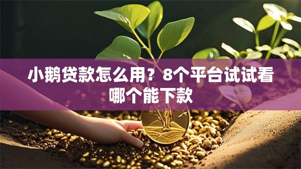 小鹅贷款怎么用？8个平台试试看哪个能下款