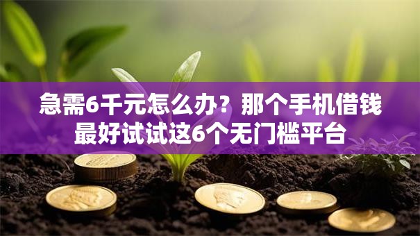 急需6千元怎么办？那个手机借钱最好试试这6个无门槛平台