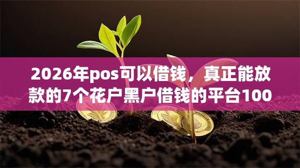 2026年pos可以借钱，真正能放款的7个花户黑户借钱的平台100%能借到推荐
