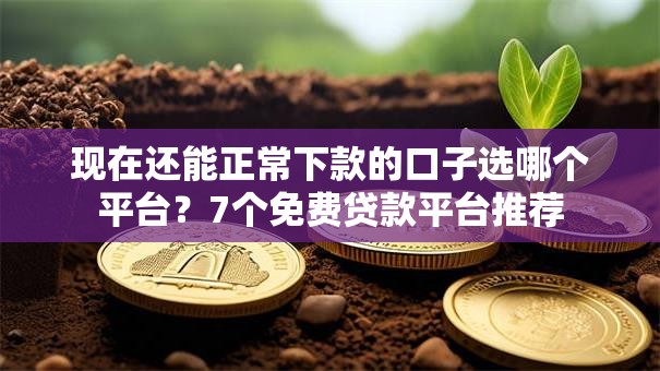 现在还能正常下款的口子选哪个平台？7个免费贷款平台推荐