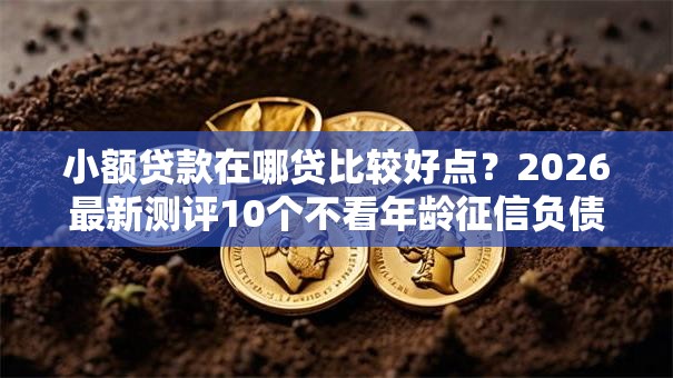 小额贷款在哪贷比较好点？2026最新测评10个不看年龄征信负债的平台