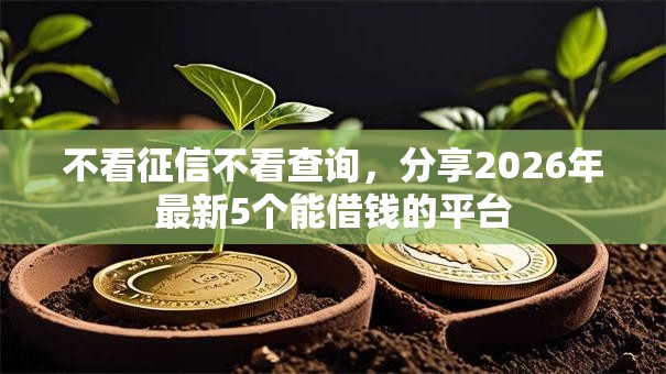 不看征信不看查询，分享2026年最新5个能借钱的平台