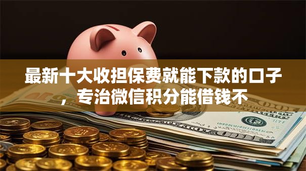 最新十大收担保费就能下款的口子，专治微信积分能借钱不