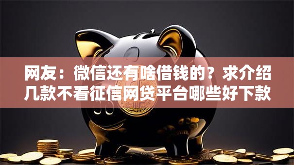网友：微信还有啥借钱的？求介绍几款不看征信网贷平台哪些好下款