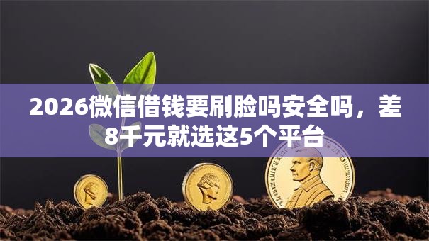2026微信借钱要刷脸吗安全吗，差8千元就选这5个平台
