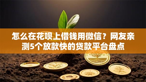 怎么在花呗上借钱用微信？网友亲测5个放款快的贷款平台盘点